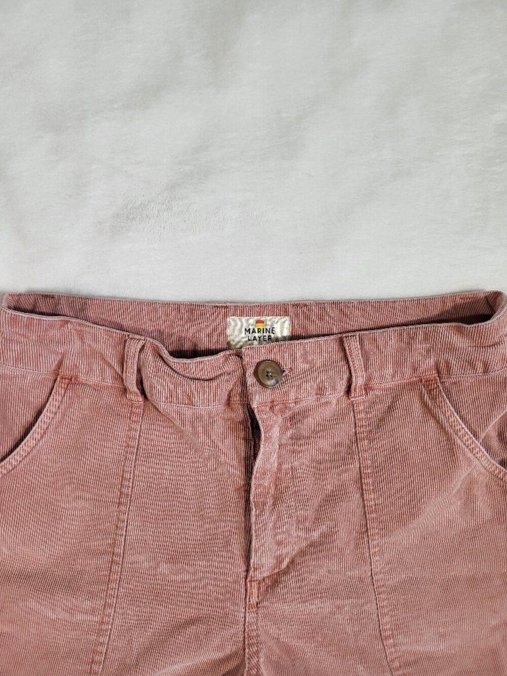 Marine Layer - Corduroy Men’s Shorts - Light Pink - Picture 2 of 13